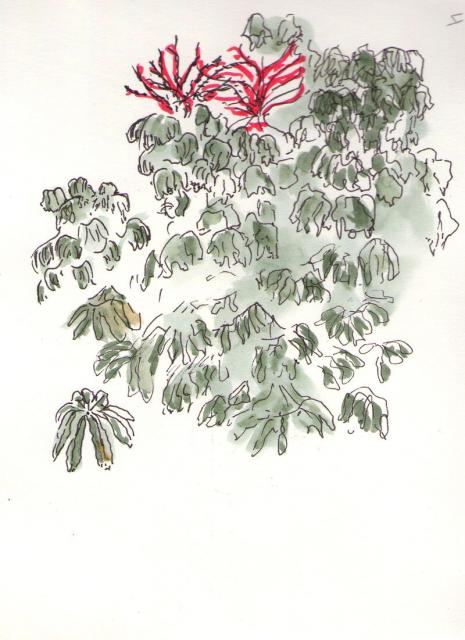 Java - 0004 - Buisson de fleurs